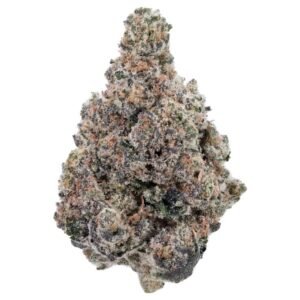 Purple Kush cannabis strain - earthy grape indica with potent relaxing effects