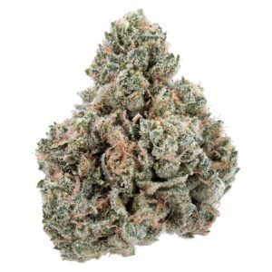 Girl Scout Cookies cannabis strain - sweet, earthy hybrid with potent euphoric and relaxing effects