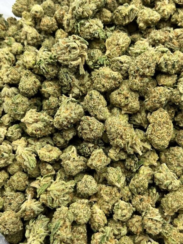 Maui Wowie CBCV Flower - tropical sativa strain with energizing effects and CBCV benefits